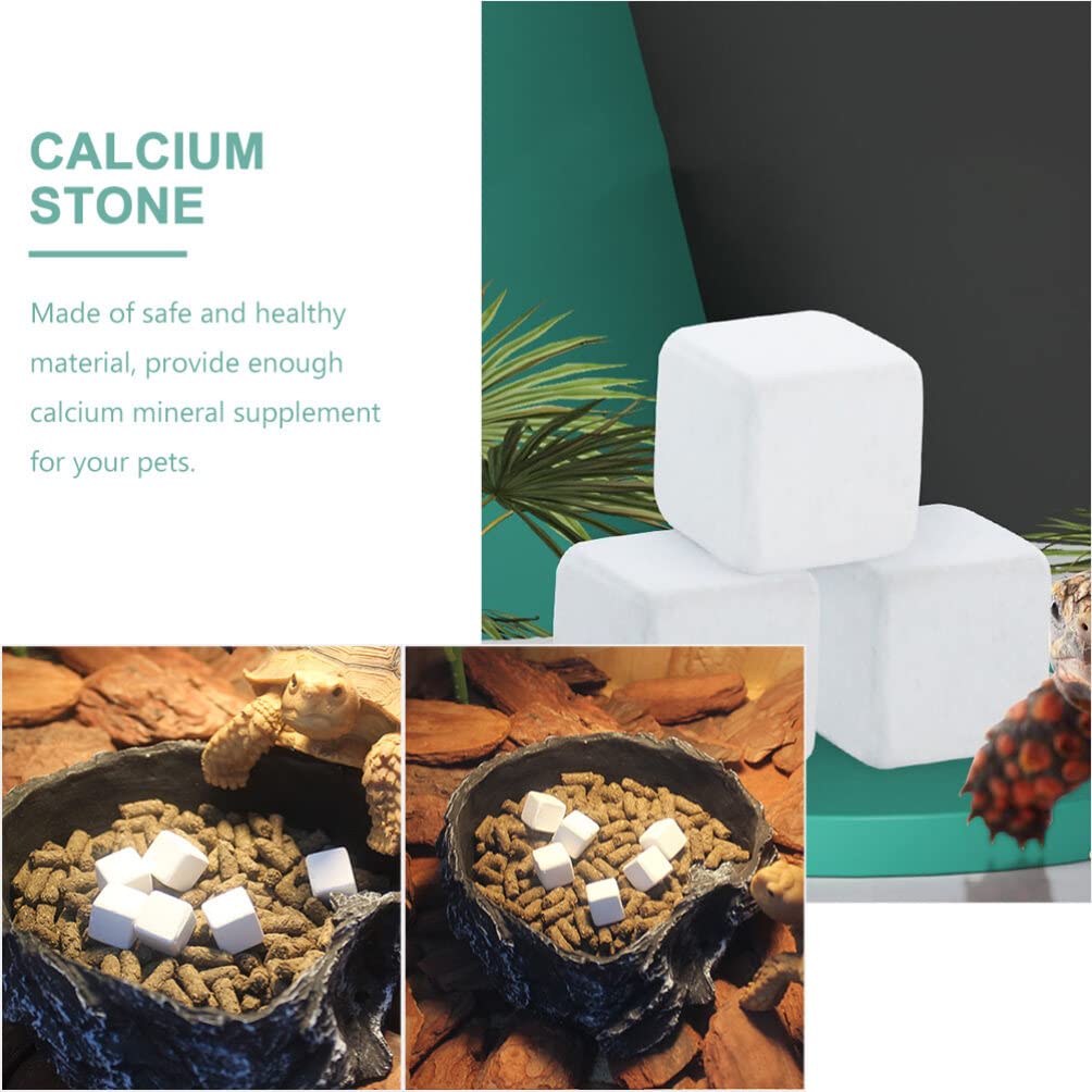 50 Pcs Calcio De Tortuga Acuática Suministros De Tortuga Calcio Mineral Reptil Calcio para Reptiles Polvo De Calcio De Tortuga Pulverizador Bloque Mineral Tanque De Tortuga