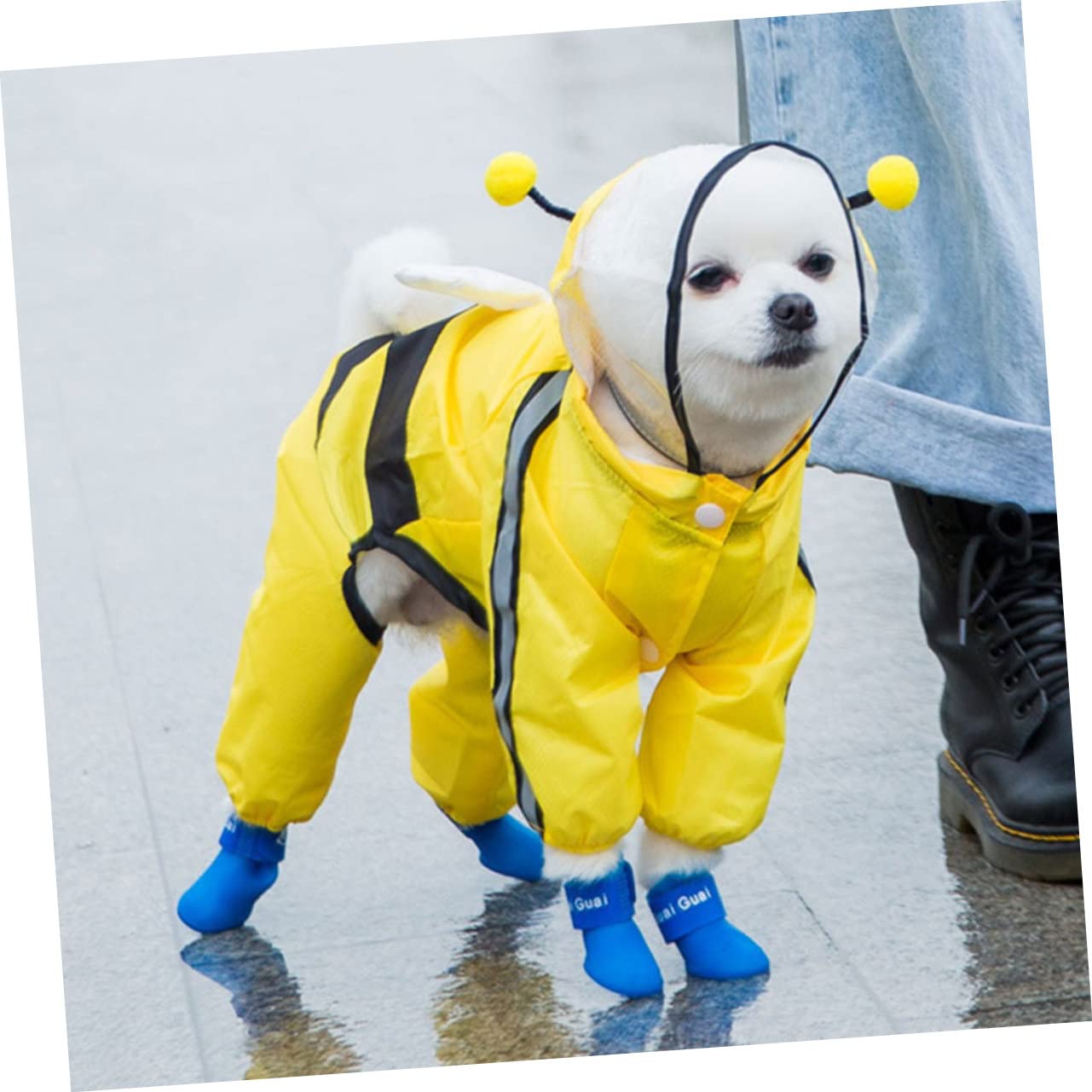 Manteaux imperméables pour Chiens, imperméables pour Chiens, 2 pièces, Tissu imperméable pour Animaux de Compagnie, Grand Chien Glissant