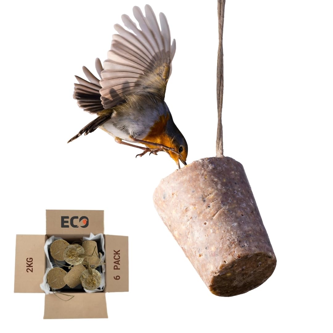 Eco Bird Food Seasonal Suet Cones – 2kg Pack of 6 – Plastic-Free, Recyclable, Biodegradable Packaging – Low-Waste, High-Energy Wild Bird Feed – UK-Made with Seasonal Ingredients
