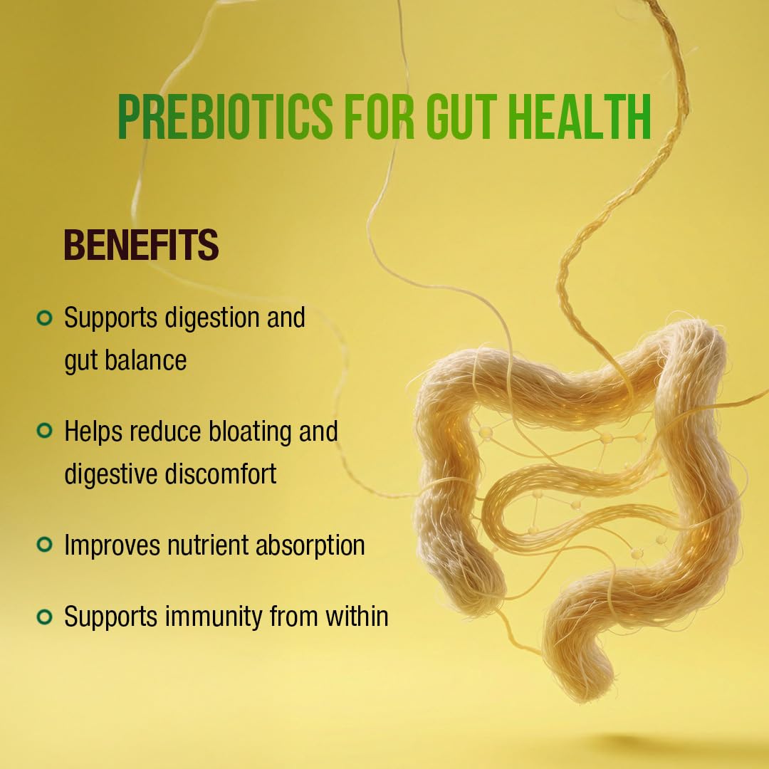 WOW Life Science Gut Fine Probiotics + Prebiotics Effervescent Tablets | Synbiotic Digestive Drink with 25 Billion CFU System, 16 Strains + Fiber | Zero Sugar Bloating Relief & Daily Gut Balance | Jeera Lime | 15 Tablets (Pack of 1) 1