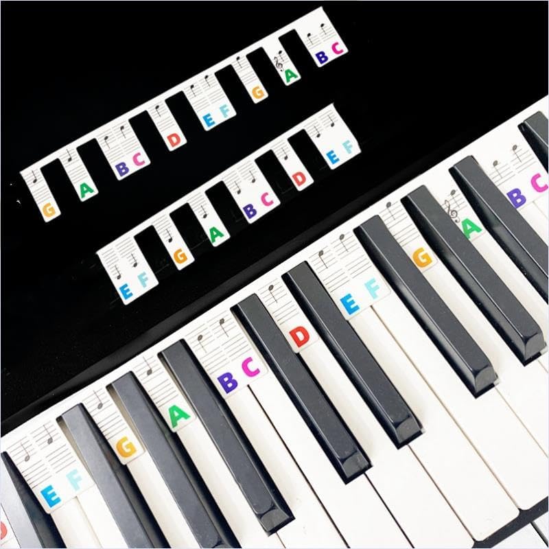 MusfunnyRemovable Piano Keyboard Notes Guide: 88 Keys Full Size Silicone Piano Key Stickers with Storage Box for Kids and Adults Beginners Learning (88 Key)