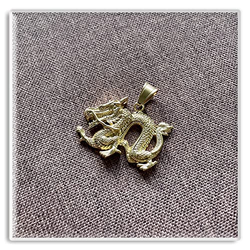 Xusamss Punk Rock Titanium Steel Dragon Pendant Necklace,22inches Link Chain4