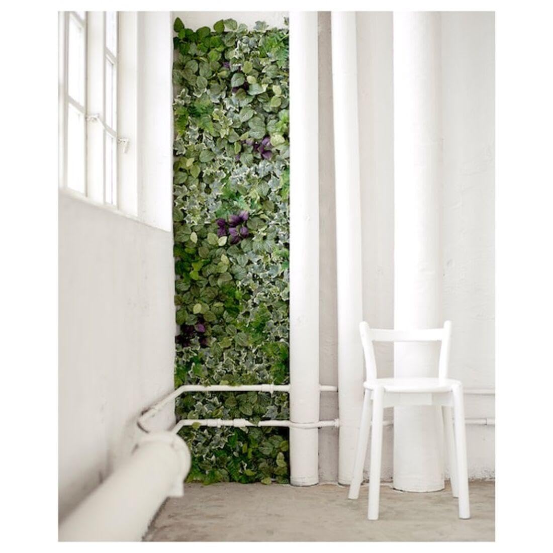 urban jungle monstera thai Monstera deliciosa 'Thai Constellation' (mini) main image 1