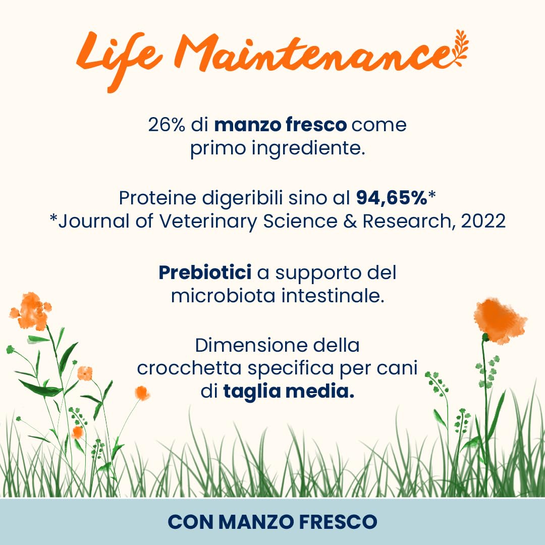 Almo Nature Life Maintenance Cibo Secco per Cane M al Manzo 12 kg – Crocchette Complete per Cani Adulti di Taglia Media