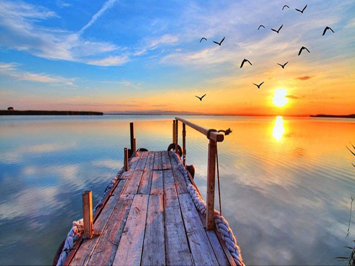 ZYZY 5D DIY Diamond Painting by Number Kits,Full Drill Crystal Rhinestone Diamond Embroidery Paintings Pictures Arts Craft for Home Wall Decor 30 * 40cm (Seagull Sunset) by DAYONG