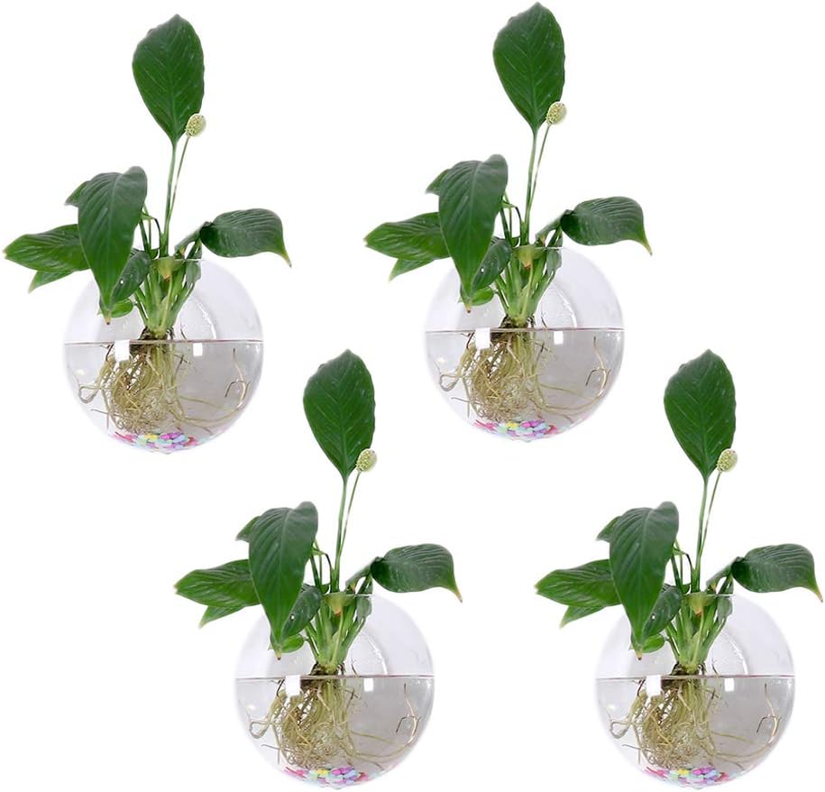 Glass Wall Planters for Indoor Plants 4Pcs Hemispherical 6