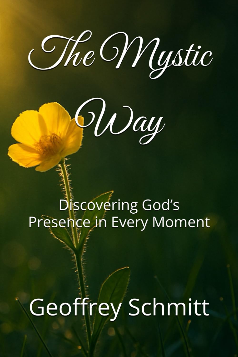 The Mystic Way: Discovering God’s Presence in Every Moment