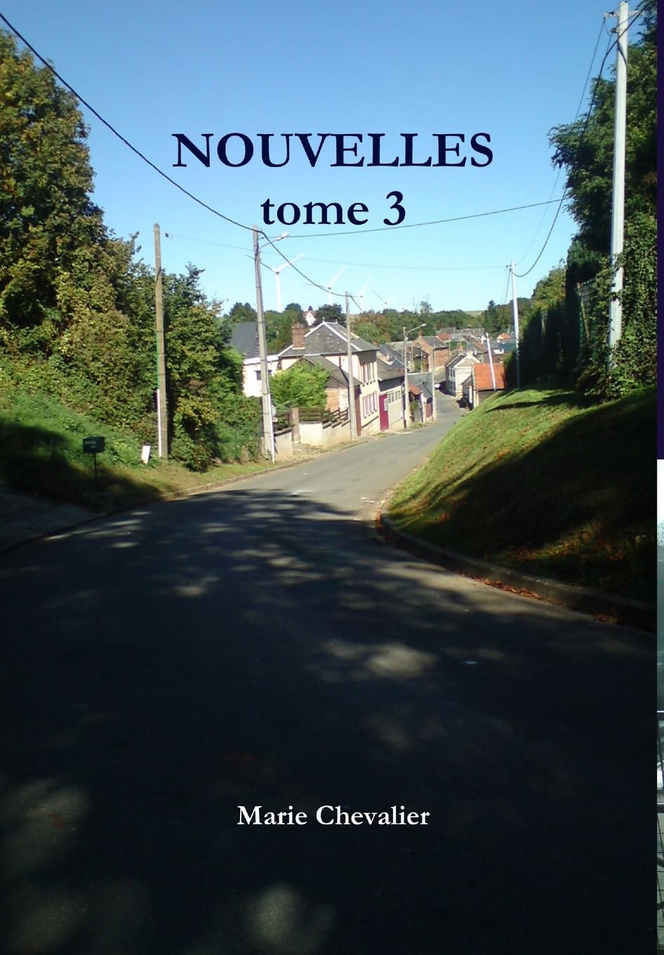 NOUVELLES tome 3 (French Edition)