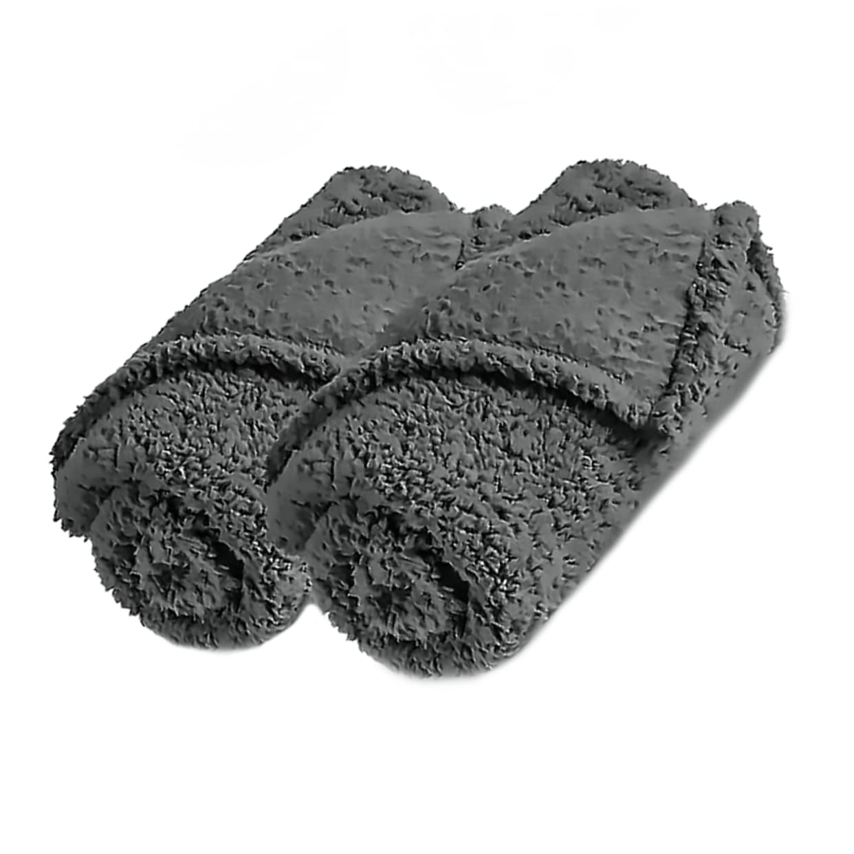 FONDOTIN 2 Pack Pet Blankets for Cats Dogs Soft Wool Blanket for Puppies Skin-Friendly Pet Sleeping Mats