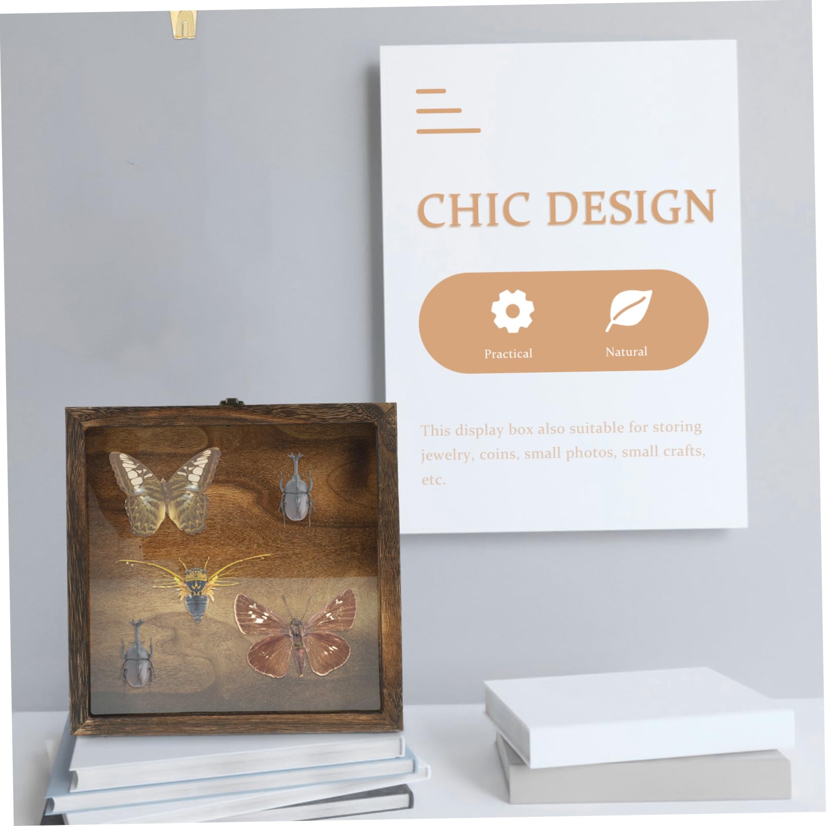 PartyKindom Caja de Muestras de Insectos Tapa, Madera y Acrílico, Retro