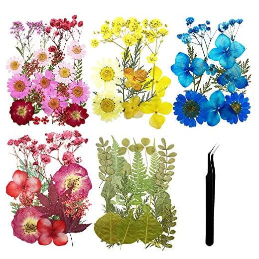 Cayway 84 Pz Naturales Flores Prensadas Secas, Hojas Prensadas Secas Naturales con Pinzas Tijeras, Flores Secas Reales para Resina para Resina Scrapbooking, Joyería de Resina Epoxi