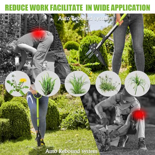 Weed Puller Tool, Stand up Weeder Puller, 40inch Long Handle 4-Claws Garden Weeding Tool, Easily Remove Weeds Without Bending, Pulling, or Kneeling [2024 Upgraded Garden Weeder Puller] (Green) - Thumbnail 2
