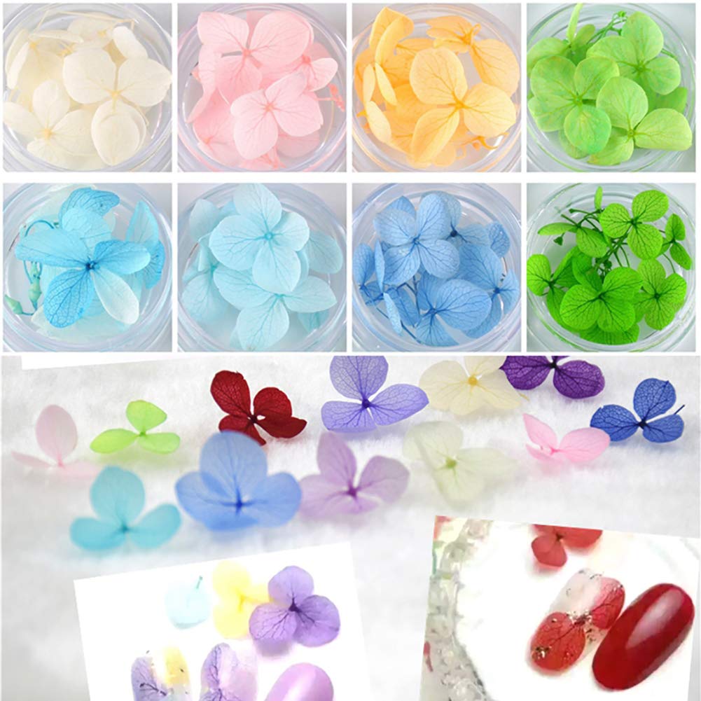 Nail Art Nagelaufkleber, natürliche getrocknete Blumen, 3D-Nagelaufkleber, 12 Farben