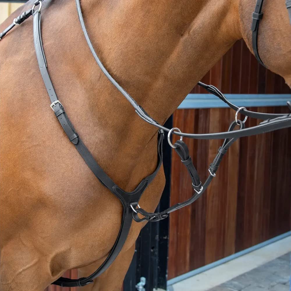 Velociti - Pechopetral para Caballos de Cuero Lusso (Full X) (Habana)