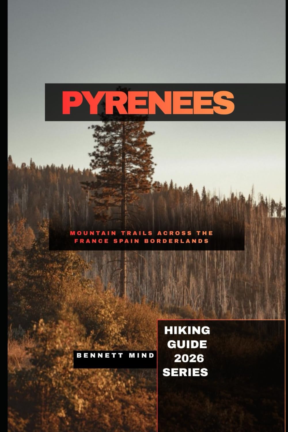 PYRENEES: MOUNTAIN TRAILS ACROSS THE FRANCE SPAIN BORDERLANDS