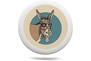 Vintage Fly Lady Method Outdoor Flying Disc