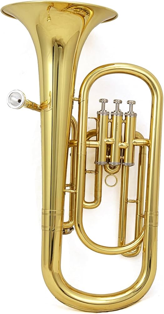 Amazon.co.jp: 金管ユーフォニアム ケース付きの高級3ピストンバリトン