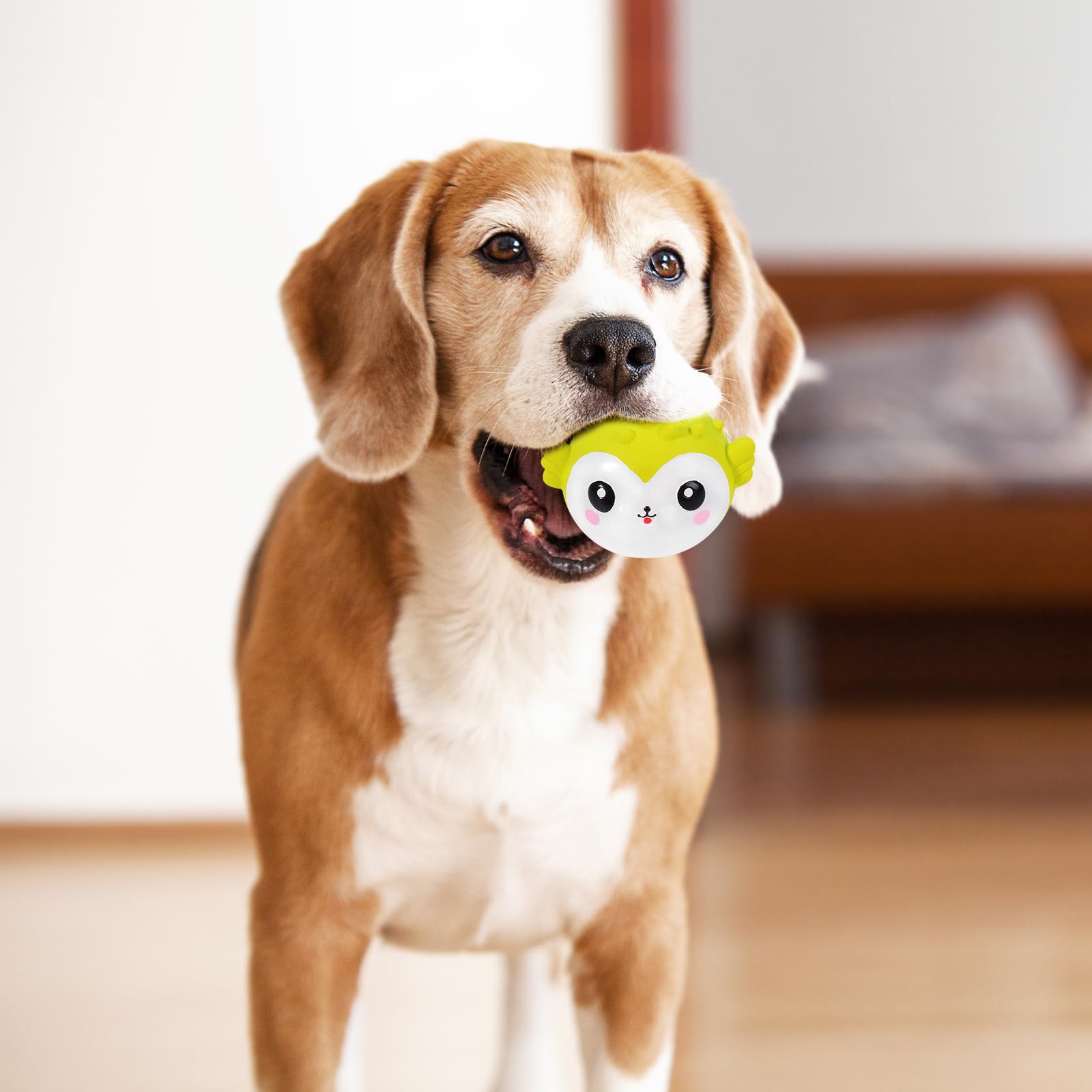 RevpoltIQ Squeaky Dog Toys 3 Pack Soft Latex Faceballs Puppy Toy Interactive Dog Toys Soft Fetch Play Balls for Small Dogs Puppies Indoor and Outdoor - Image 3