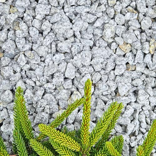 Feniks Granit Deko 20 kg (8-16mm) Splitt Grau | Ideal für die Gartengestaltung | Salz und Pfeffer Granit Naturstein | Splitt |Granitsplitt