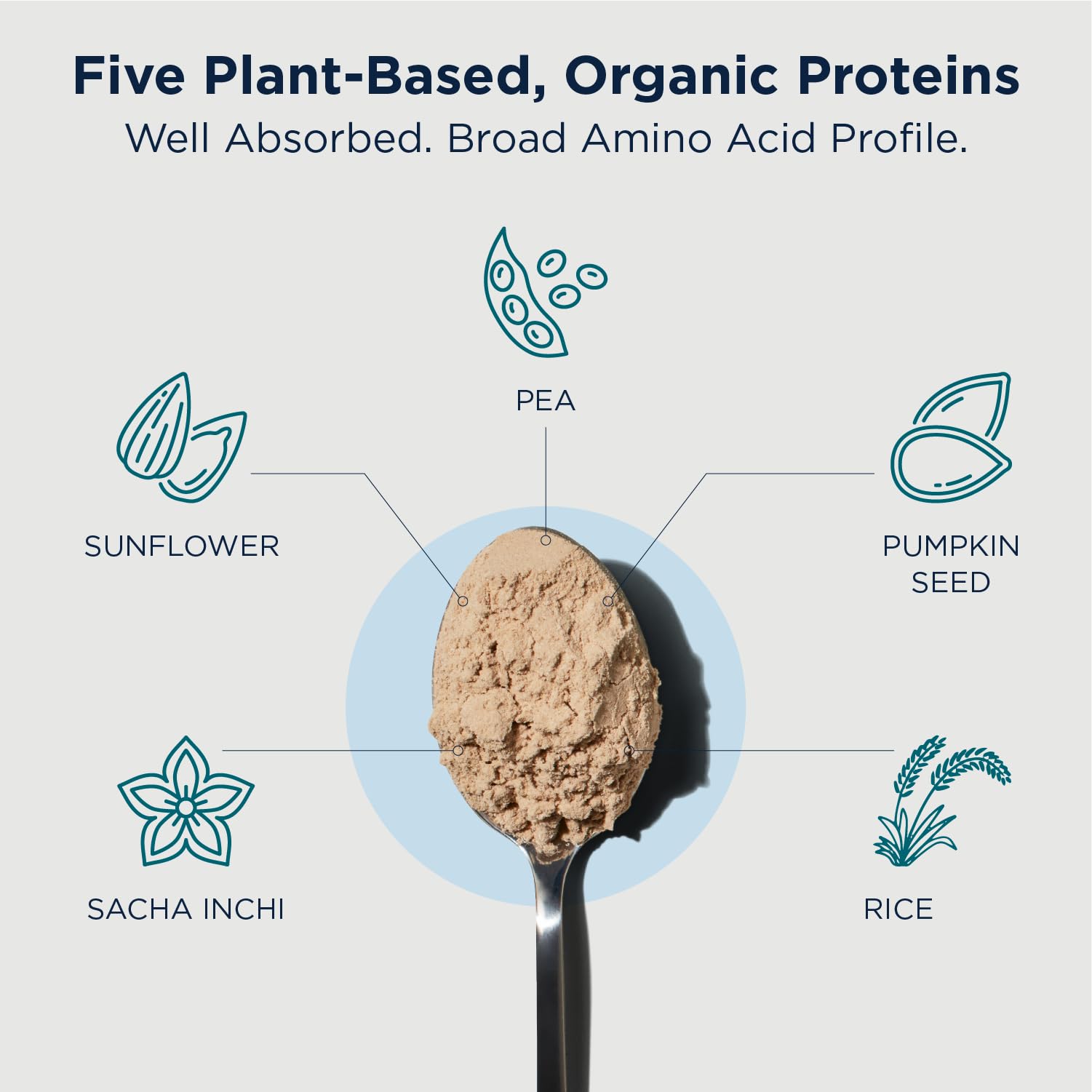 Amazon.com: Designs for Health Phytotein Vegan Protein Powder