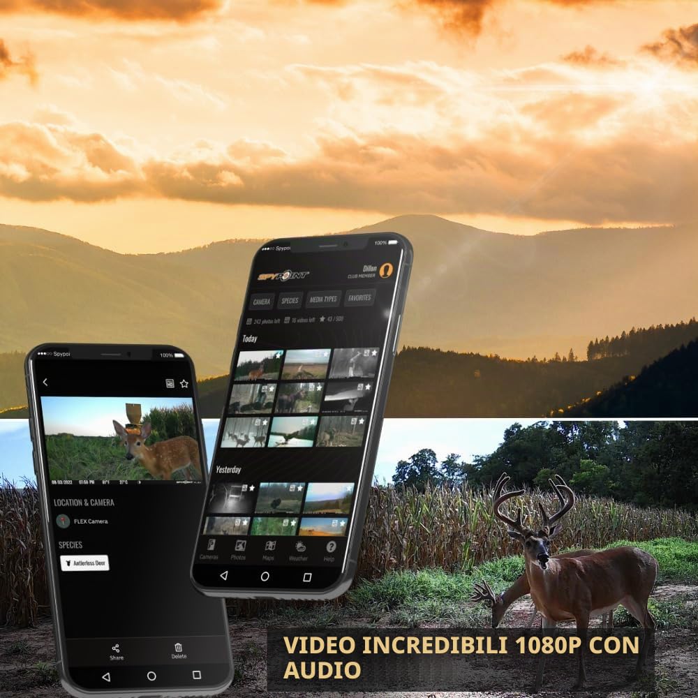 SPYPOINT Flex M Twin Pack 28MP Cellular Trail Camera (confezione da 2) con scheda di memoria ad alta velocità da 32 GB (confezione da 4) e lettore di schede ad alta velocità (7 articoli)