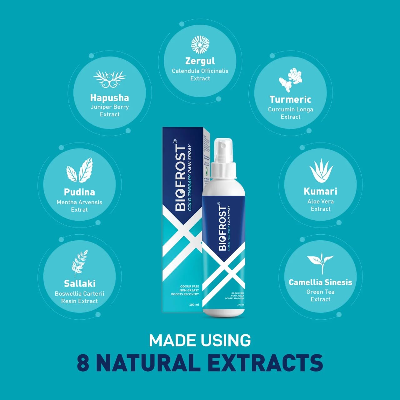 Biofrost pain relief spray - pack of 2 (100 mL each). Fast-acting cold therapy to recover muscles and relief from pain. Portable and easy to use Biofrost pain relief spray - pack of 2 (100 mL each). Fast-acting cold therapy to recover muscles and relief from pain. Portable and easy to use