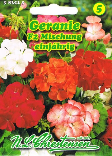 Geranie F2 Mischung Pelargonium zonale stehend einjährig Cover