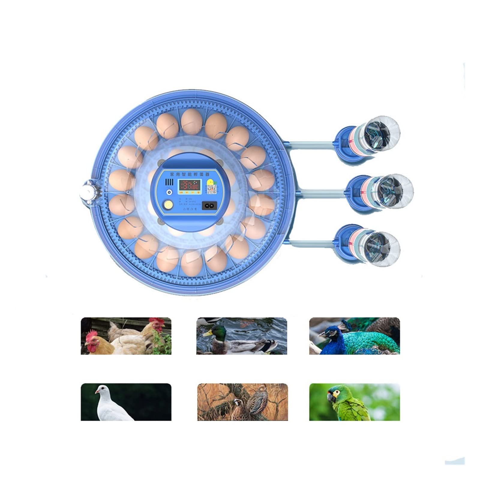 Amazon | 自動孵卵器 孵化器 自動転卵 ミニ 6/8 卵インキュベーター鶏
