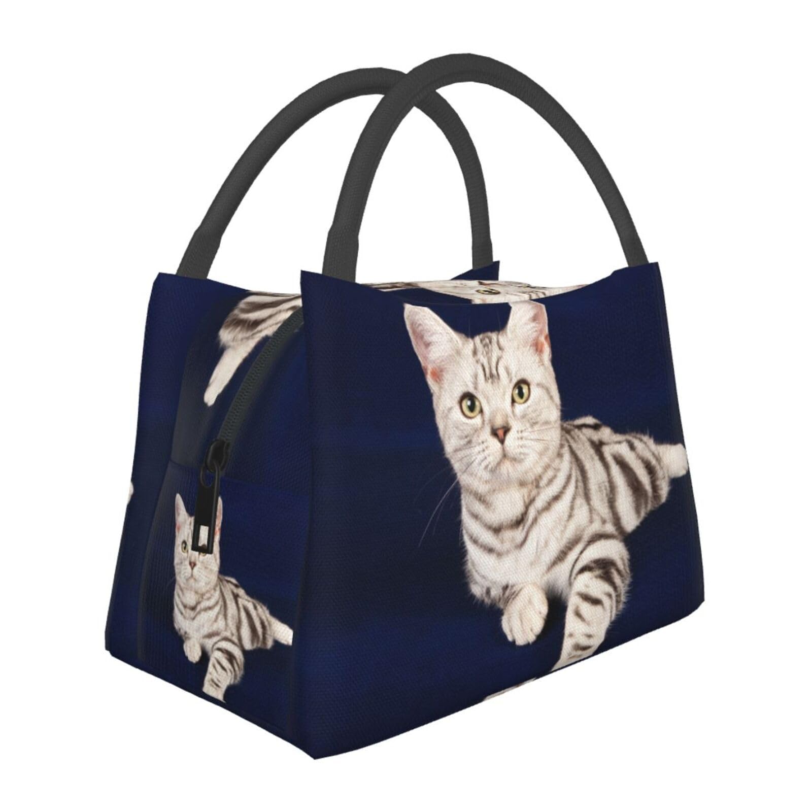 Amazon｜アメリカンショートヘア 猫柄 紺色 ねこ 保冷 がま口