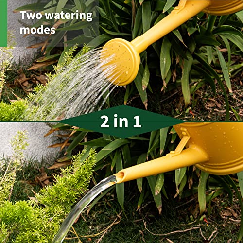Decwxon Watering Can For Indoor Plants, Flower Watering Can With Detachable Sprinkler Head, Small Indoor Watering Can For House Plants, Flowers 68Oz 1/2 Gallon (Yellow) #TOP4