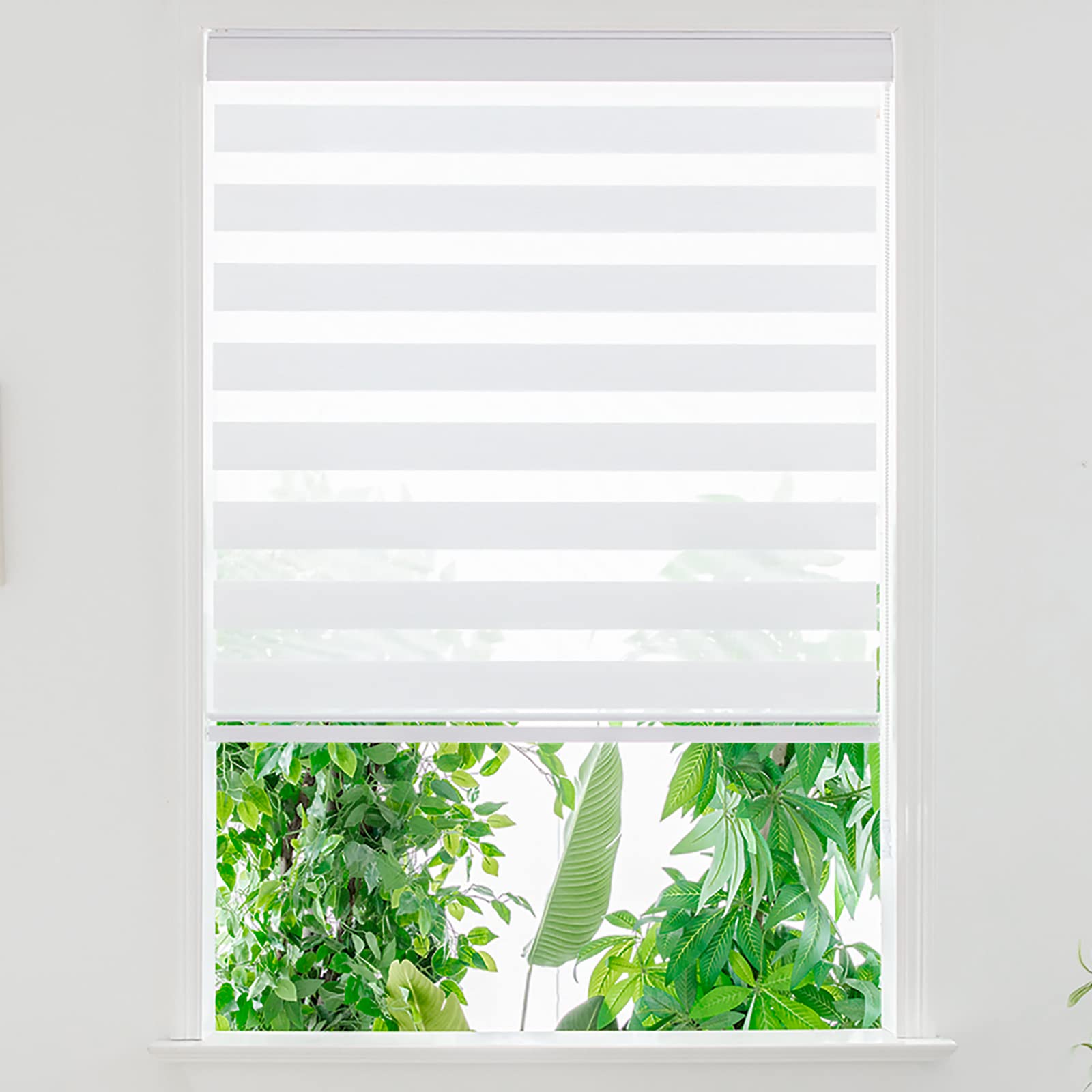 Zebra Roller Window Blinds,Custom Cut to Size,Roller Blinds Dual Layer Roller Shade Blinds, White,Fixed 64 InchesHigh,35 Inches Width