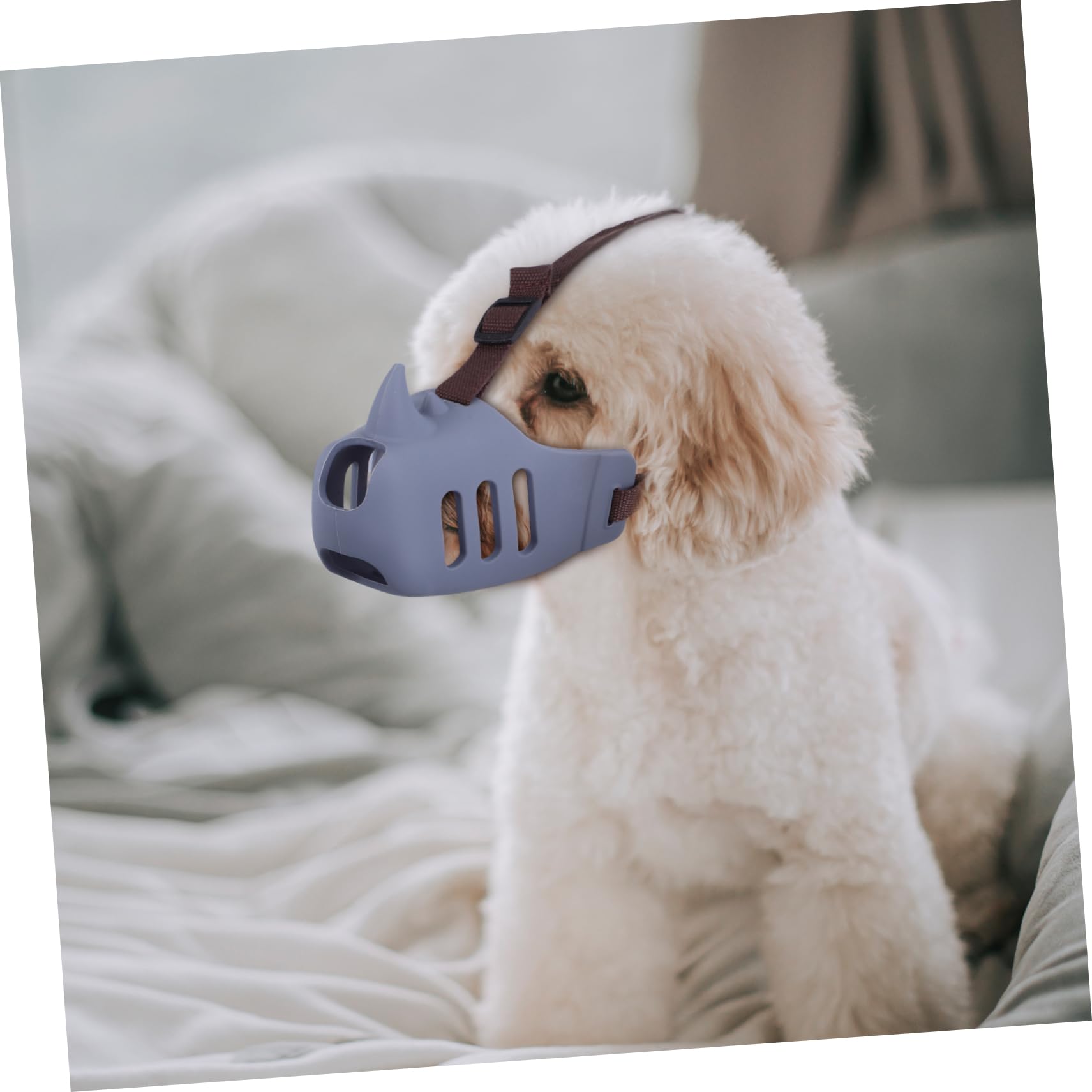 Toddmomy 3 Pezzi Museruola Cane in Silicone per Cani Medi e Grandi, Previene Morso e Abbaio, Design Traspirante e Colore alla Moda per Uso Quotidiano