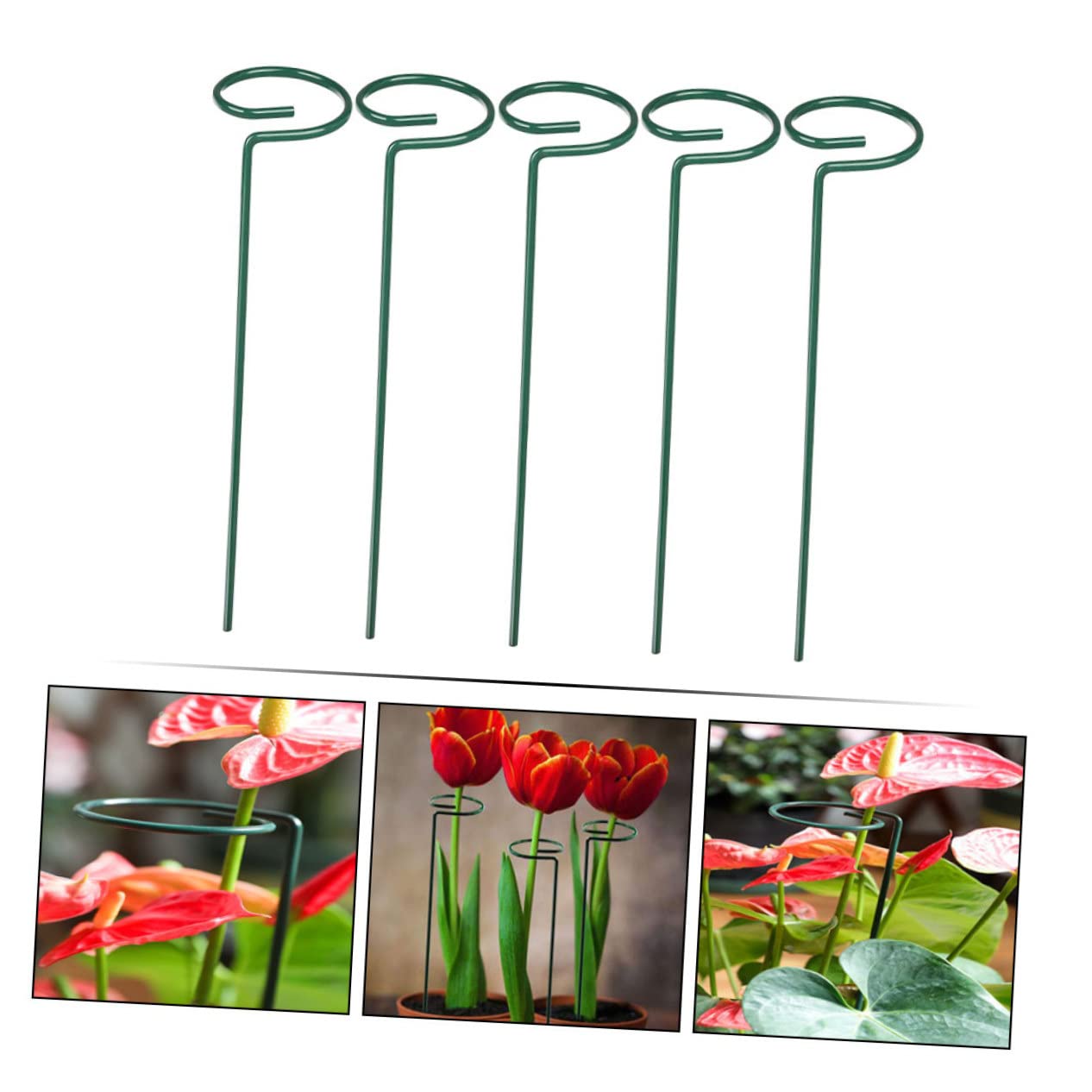 BESTonZON 2 Sätze Schmiedeeisenpflanze -stützrahmen Zimmerpflanzen Gartenpflanzenregale Unterstützung des Blütenstiels Unterstützen Sie Die Blumeneinsätze Blumenstammpfahl Grün 5 Stücke * 2