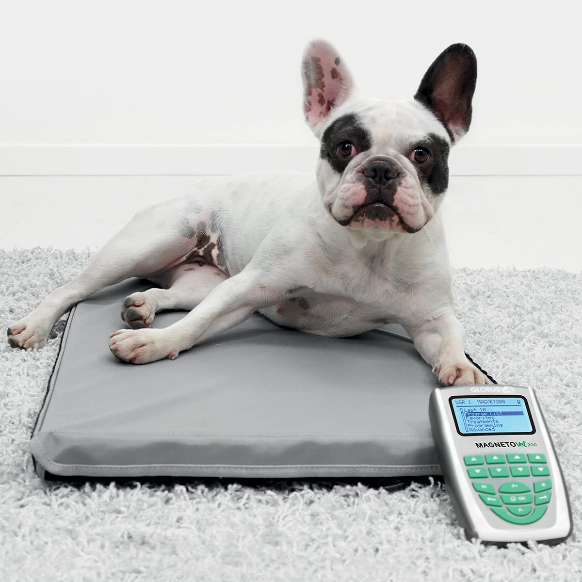 Globus | Magnetovet 200 Con Cuccia, Magnetoterapia Per Animali