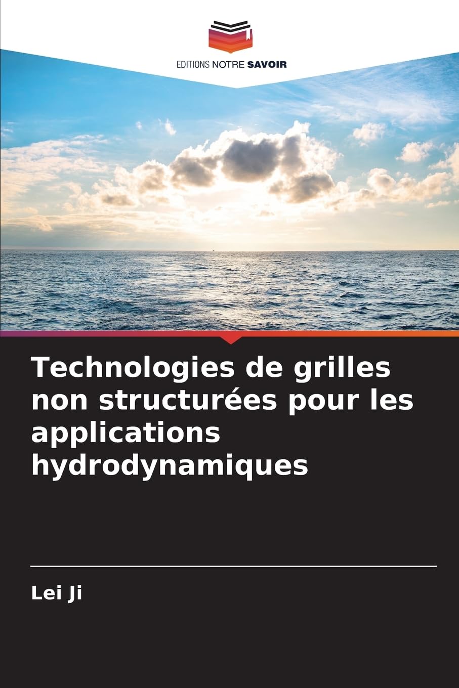 Technologies de grilles non structurées pour les applications hydrodynamiques