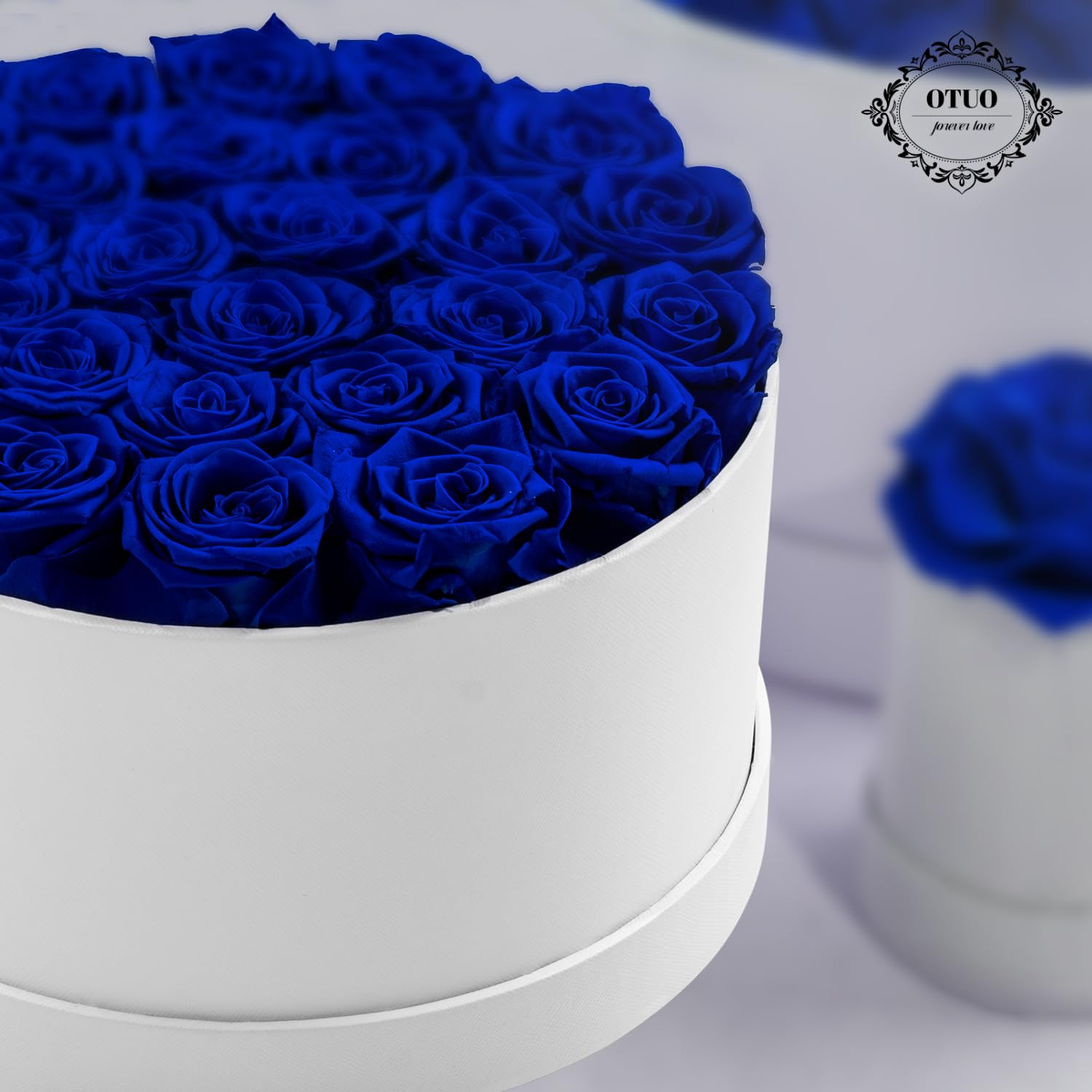 Lot de 27 roses préservées dans une boîte – Fleurs éternelles pour livraison Prime, cadeaux d'anniversaire pour maman, épouse, anniversaire de mariage, cadeau d'anniversaire pour femme, bleu