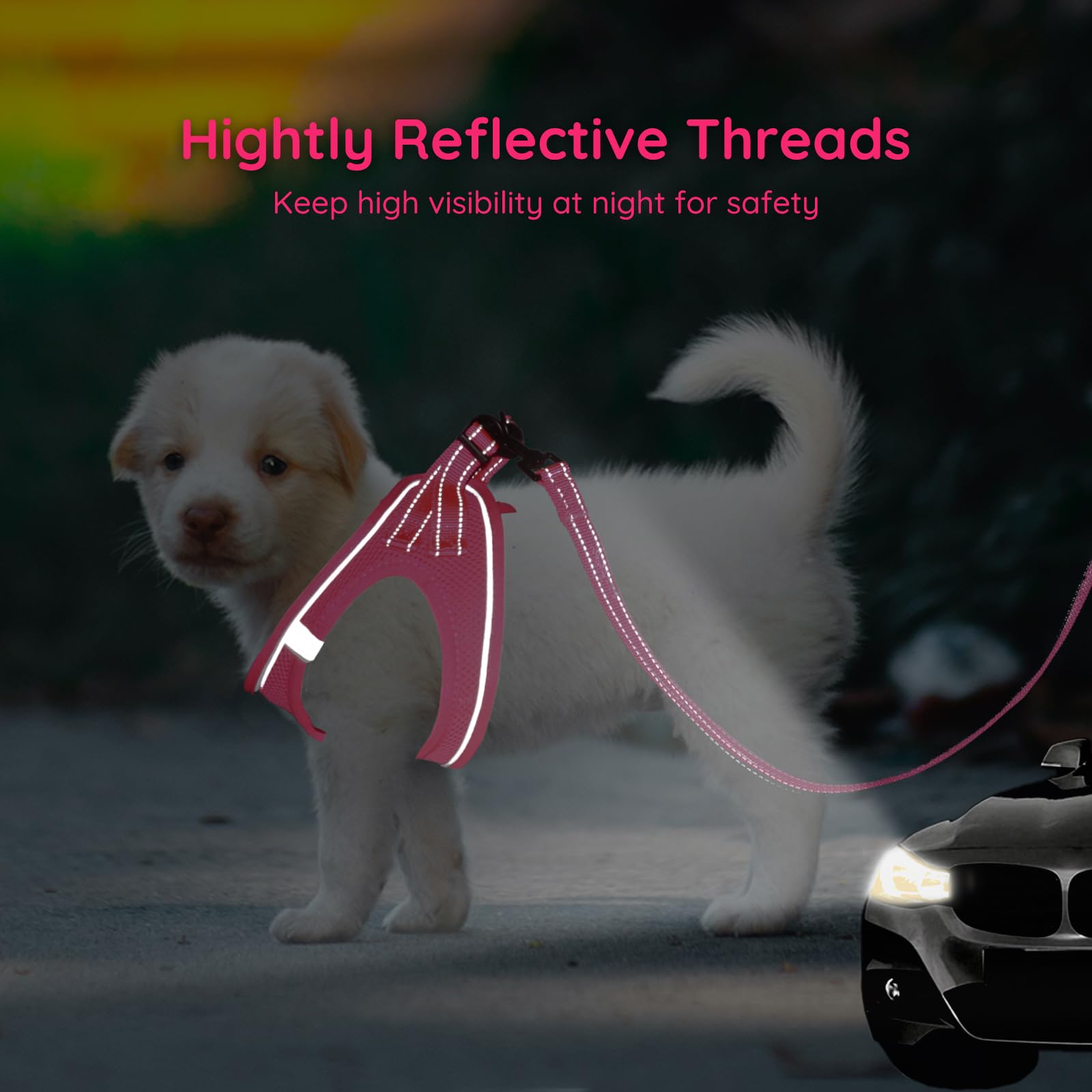 Hundegeschirr Step-in Design - Air Mesh Mit Reflektorstreifen