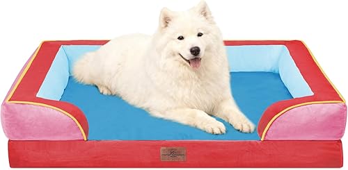 Miniatura 39 de Comfort Expression - Cama ortopédica perros pequeños, 20 x 14 pulgadas, impermeable, espuma soporte cartón de huevo, cojines extraíbles, sofá con