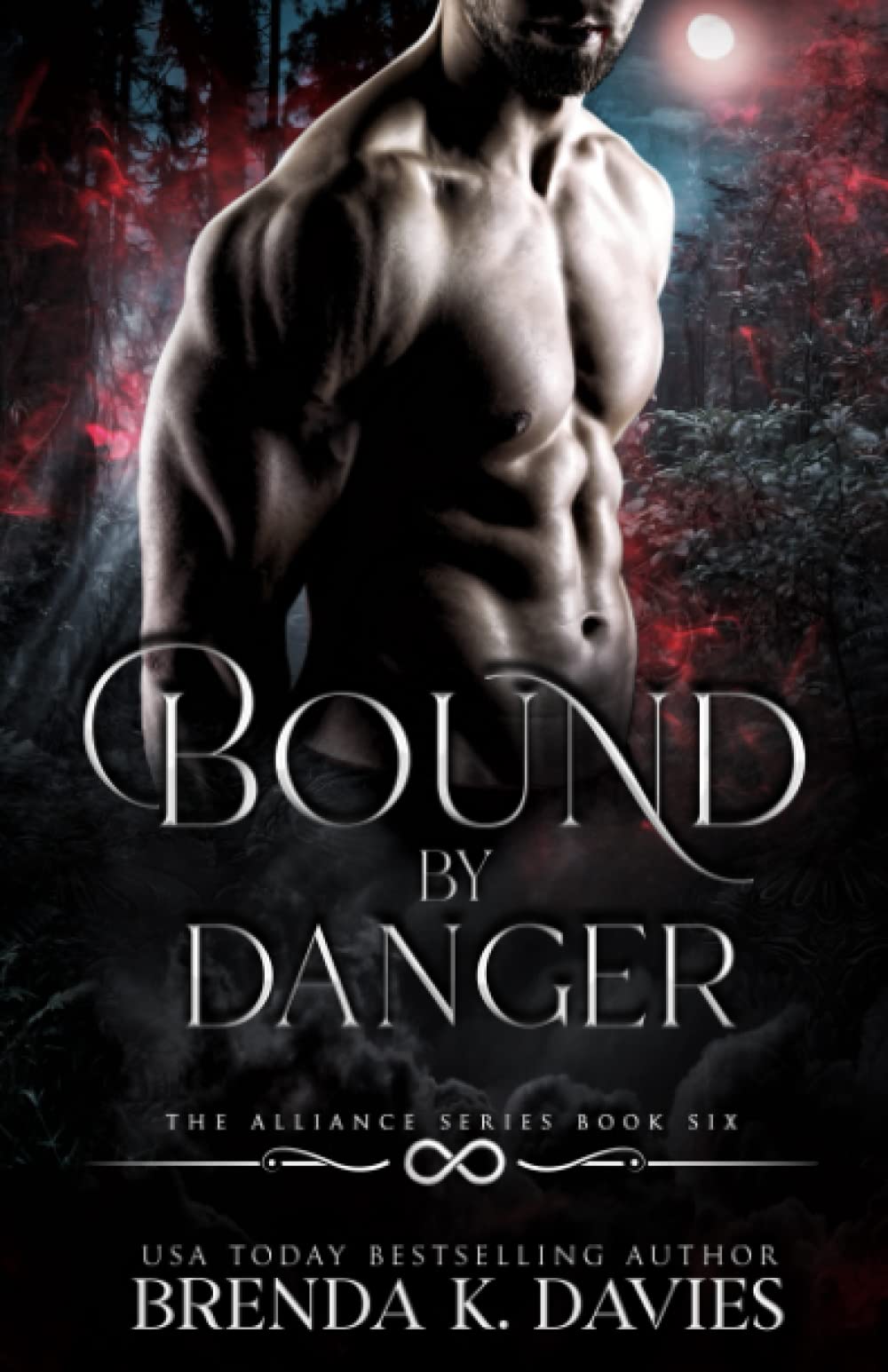Cover of Bound by Danger