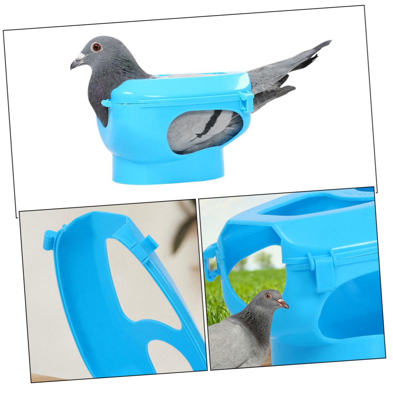BESPORTBLE Fijadores para Palomas 6piezas Soporte Fijo de PP para Inyección y Alimentación Anillo para Patas, Práctico para Observación y Manejo Cómodo