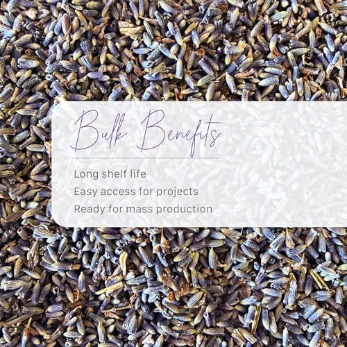 French Lavender Buds Natural Dried Flowers miniatura 3