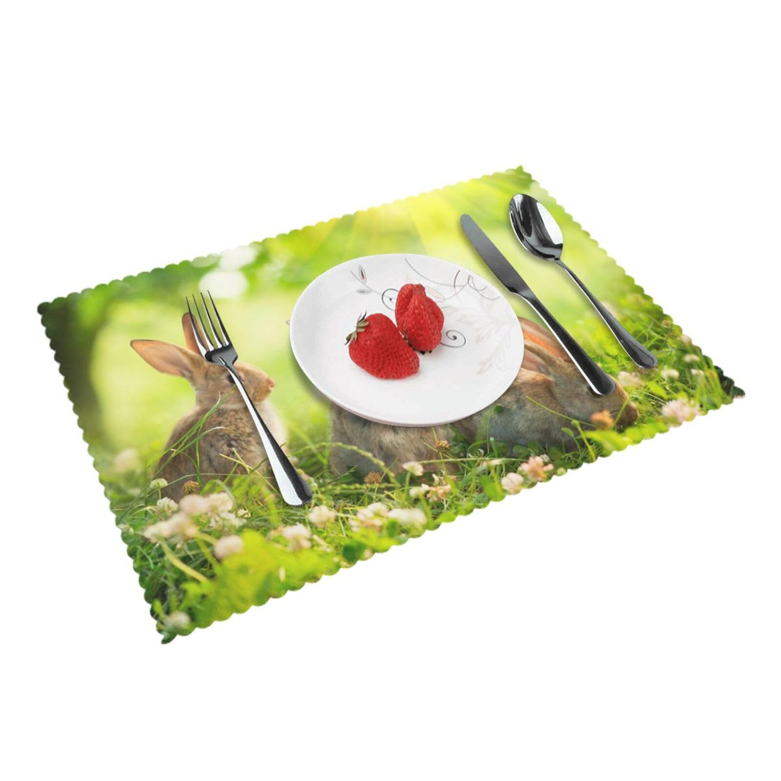 Bnvsadc Funny Rabbits 4 Pcs Heat Resistant Placemat 45X30 Cm, Printed Non-Slip Place Mats For Kitchen Dining Table Indoor Outdoor