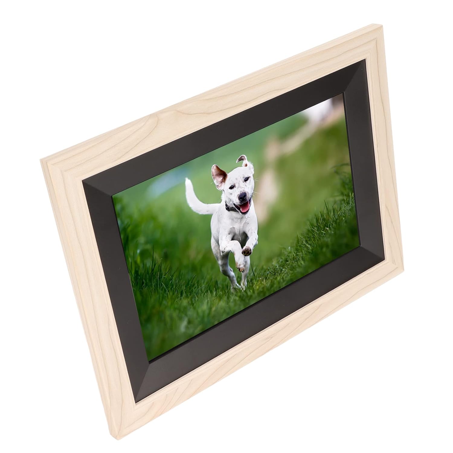 Buy Electronic Picture Frame, Digital Photo Frame 10.1 Inch Smart 100240V (EU Plug) Online at