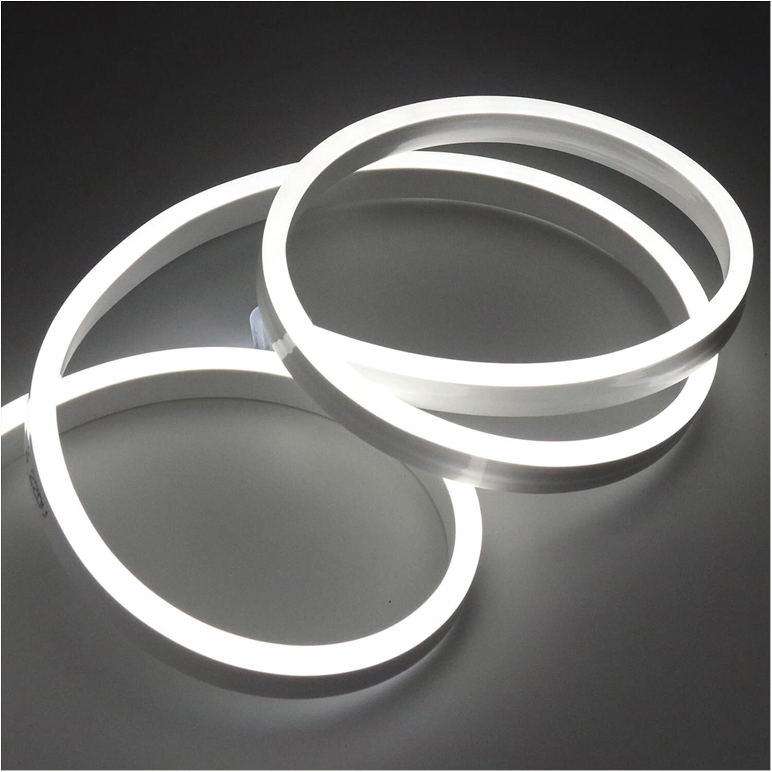 GQL 1m White Flexible NEON Light, 220V SMD 2835 120 LED Strip Light Kit (IP65 Waterproof) with UK Plug Power Supply for Home Garden Bar Decoration โ image 1