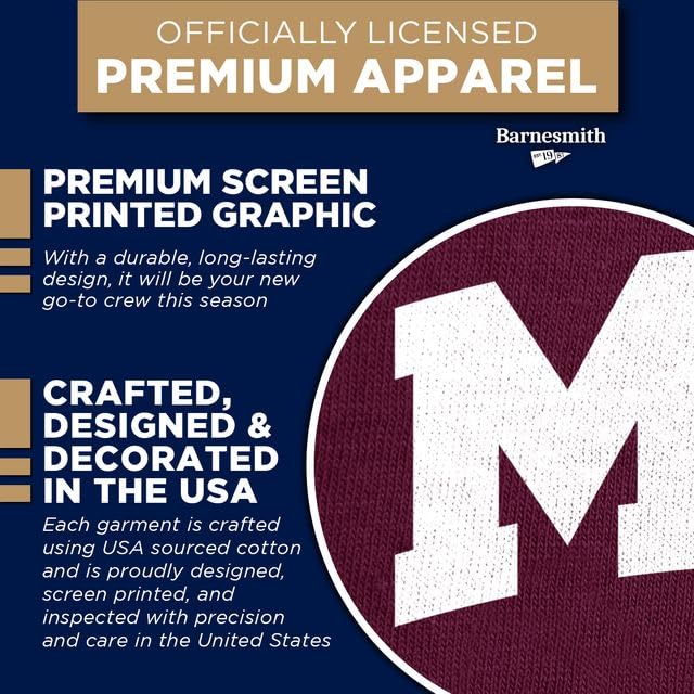 Image of Ivysport Crewneck Sweatshirt for College, Heritage Logo, Color, Adult Unisex