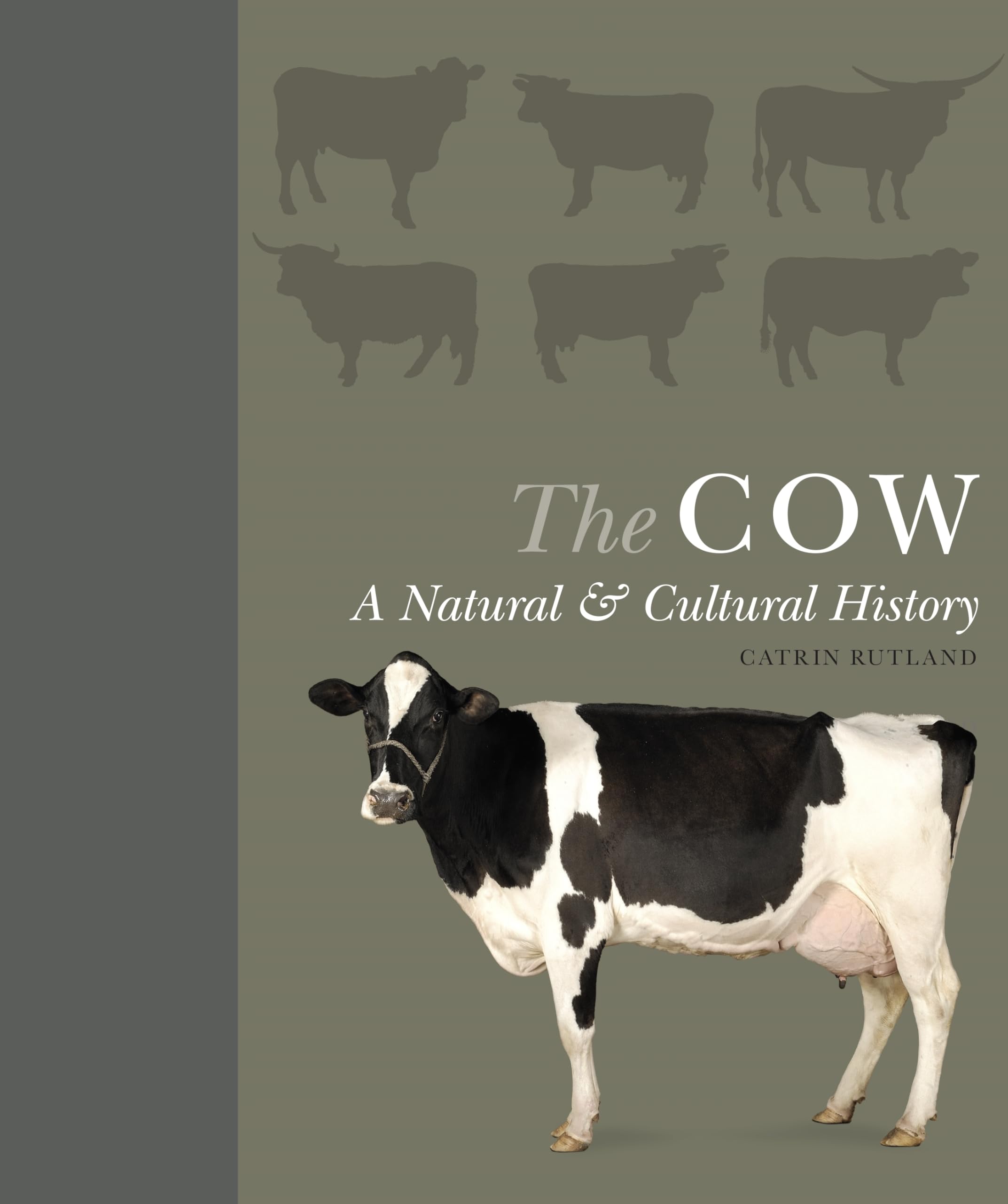 リクエスト出品(cow) 61s4wsC5J6L.jpg