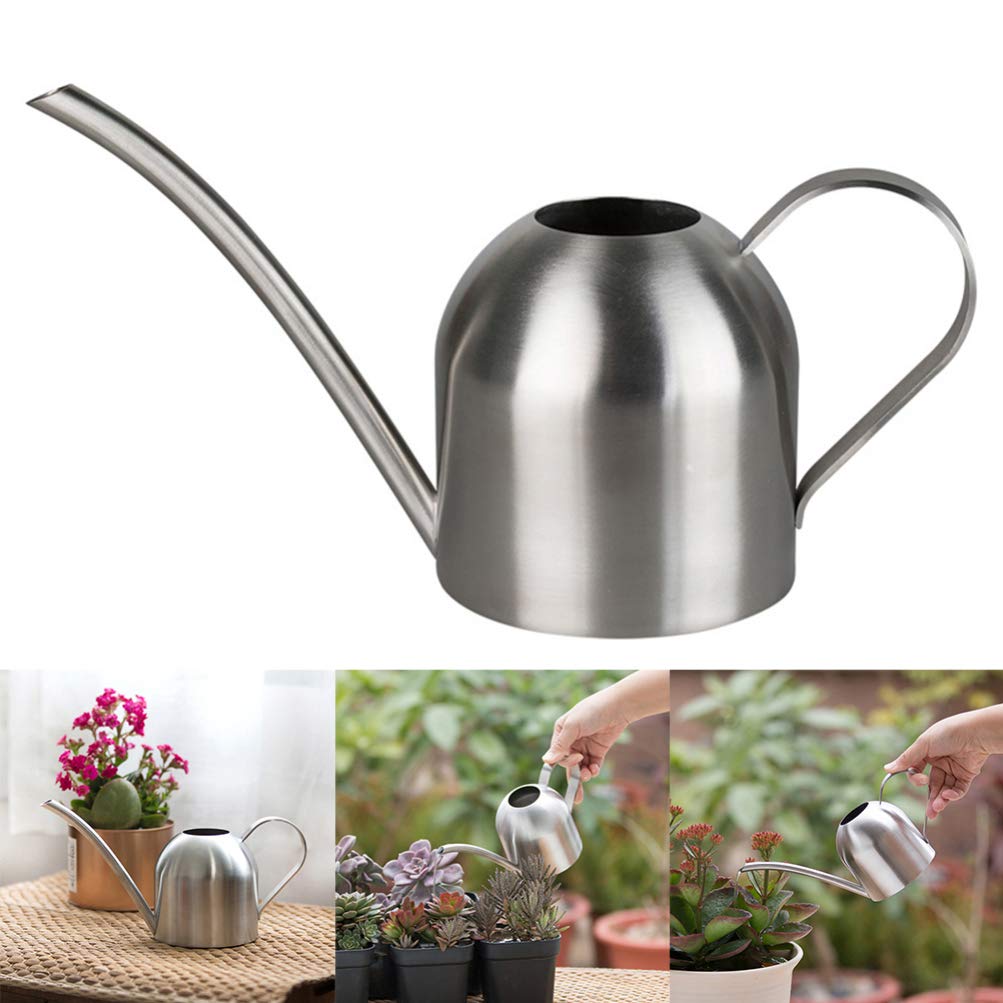 YARNOW Arrosoir en Acier Inoxydable 1000ml Argenté Résistance Ternissement Long Bec pour Arrosage Intérieur et Extérieur Plantes Succulentes