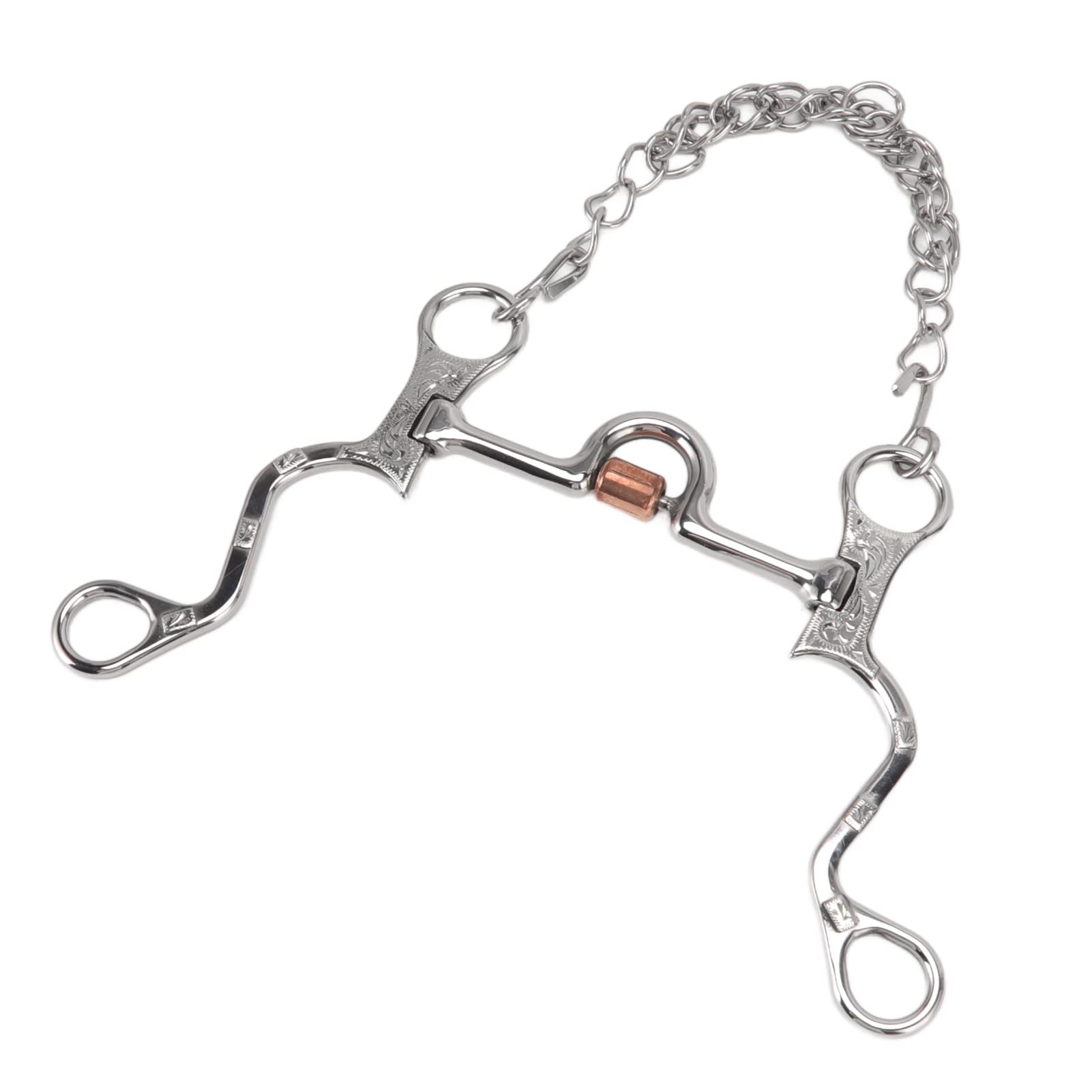 Filete de Boca de Caballo de 120 mm con Cadena, Broca de Caballo de Acero Inoxidable para Equipo de Entrenamiento Ecuestre