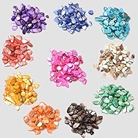 Vista 4 de QICQDRAM Conchas trituradas para manualidades de aproximadamente 1 libra (14.29 oz/14.28 onzas), pequeñas conchas naturales trituradas a granel