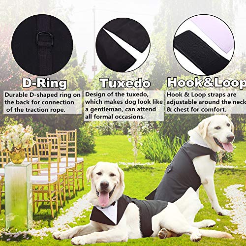 QBLEEV Dog Tuxedo for Medium Dogs, Dog Suit and Bandana Set, Dog Christmas Tuxedos, Formal Wedding Attire Shirt with Detachable Bow Ties Collar, Dog Outfit Pet Costumes for Birthday Party Cosplay M QBLEEV Dog Tuxedo for Medium Dogs, Dog Suit and Bandana Set, Dog Christmas Tuxedos, Formal Wedding Attire Shirt with Detachable Bow Ties Collar, Dog Outfit Pet Costumes for Birthday Party Cosplay M